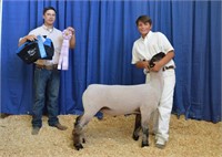 2021 Solano County Fair Jr Livestock Auction