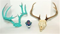Decorated Skulls & Antlers