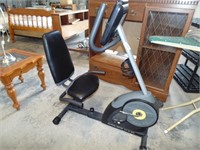 Gold Gym Exercise Bike