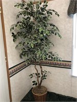 Faux Ficus tree