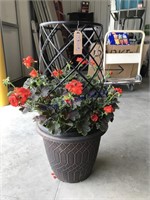 1  FLOWER POT- RED FLOWER W/TALL CAGE