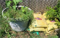 Large Flower Pot & Garden Soil