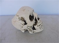 Skeleton Head Candle Holder