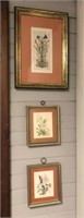 Vintage Set of Three Signed Floral Prints