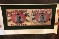Vintage Massey's Photo Brand Tomatoes Poster