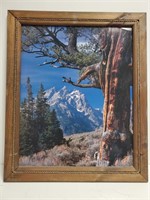 Nature In Wood Frame with Rope