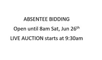 Absentee Bidding on some and LIVE Auction on All