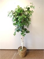 Faux Potted Birch Tree