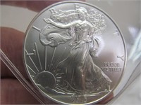 2013 Silver Dollar
