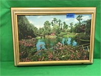 No.77 Cypress Gardens, Florida Picture with Light