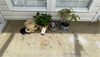 Group of Garden Pots & Plants