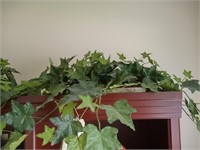 3 Green Plants Home Decor