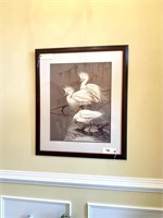 Signed S Robertson Water Fowl Print