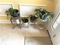 Christmas Cactus Plants & Stands