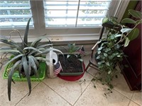 3 Plants, Water Can, Antique Potty Chair