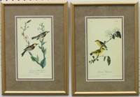2 Antique birds by John J Audubon