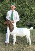 Richard Ferri, Southern Trinity 4-H, Market Goat
