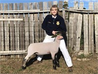 Hannah Holcomb, McKinleyville FFA, Market Lamb