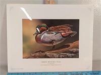 Green Winged teal 2010 ducks unlimited sponsor