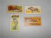 Lot of 4 1958 Nabisco Exotic Animals cards
