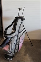 Callaway golf bag & clubs  Big Bertha All Irons