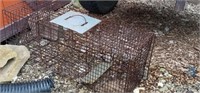 Large animal trap