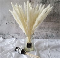 Beau Jour 45cm Natural Dried Pampas Grass 30pcs