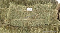 49 1st Mixed Grass ( New Crop)