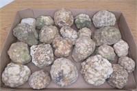 Lot of 22 Geodes