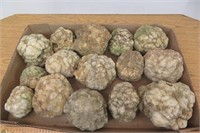 Lot of 15 Geodes
