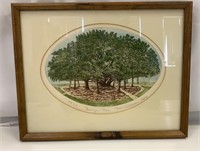 Banyan Tree Framed Picture