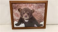 Bear Cub Framed Picture