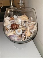 Large brandy glass filled with assorted seashells