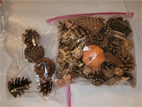 Two bags of assorted pinecones
