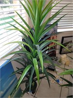 Faux potted  Fern / Palm.  50" tall