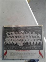 1953 ST LOUIS CARDINALS PHOTO W/ SIGNATURES