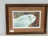 C. Brenders ltd print "Snowy owl" signed