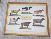 Purina dairy picture with all dairy breeds