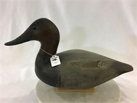 Wards Style Canvasback by Tory Ward