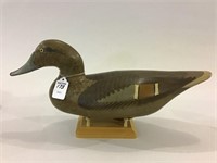Pintail Hen by Captain Harry Jobes