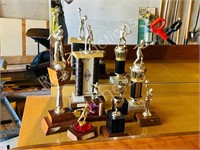 collection of trophies