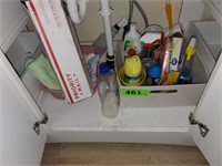 CONTENTS OF CLEANING ITEMS UNDER BATHROOM SINK
