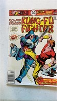 Kung fu fighter #11
