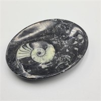 Small Ammonite Style Soap Dish