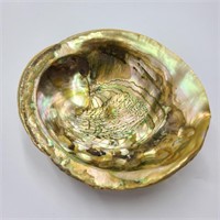 Abalone Shell Dish