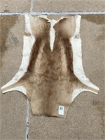 Animal hide