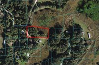 NE 35TH AVENUE RD VACANT LAND, CITRA, FL 32113