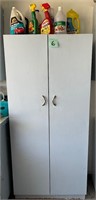 Metal Painted Two Door Work Cabinet