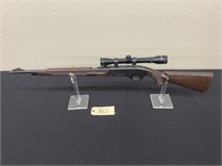 Remington, Model Nylon 66, 22 long rifle