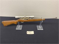 Ruger, Model 10/22 Carbine, 22 long rifle